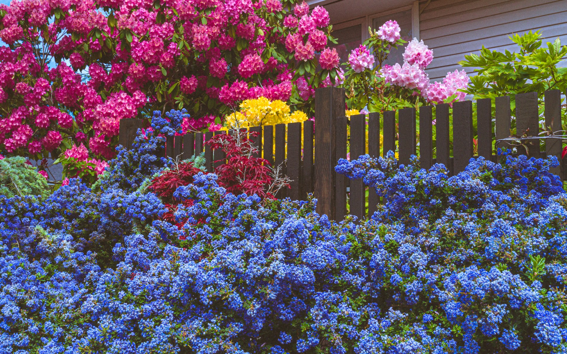 image d'un jardin